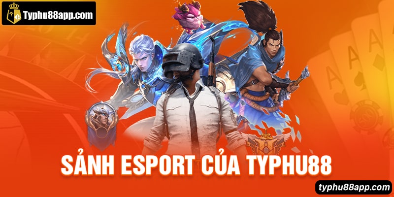 Sảnh Esport của Typhu88