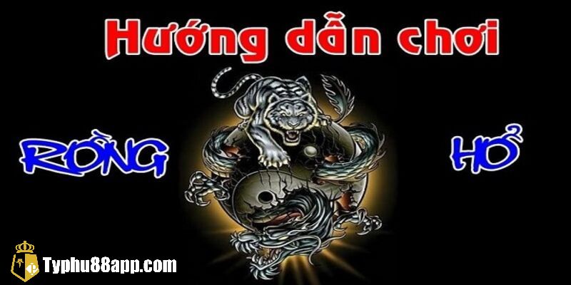 Bật mí cách mẹo chơi Rồng Hổ typhu88 chắc thắng